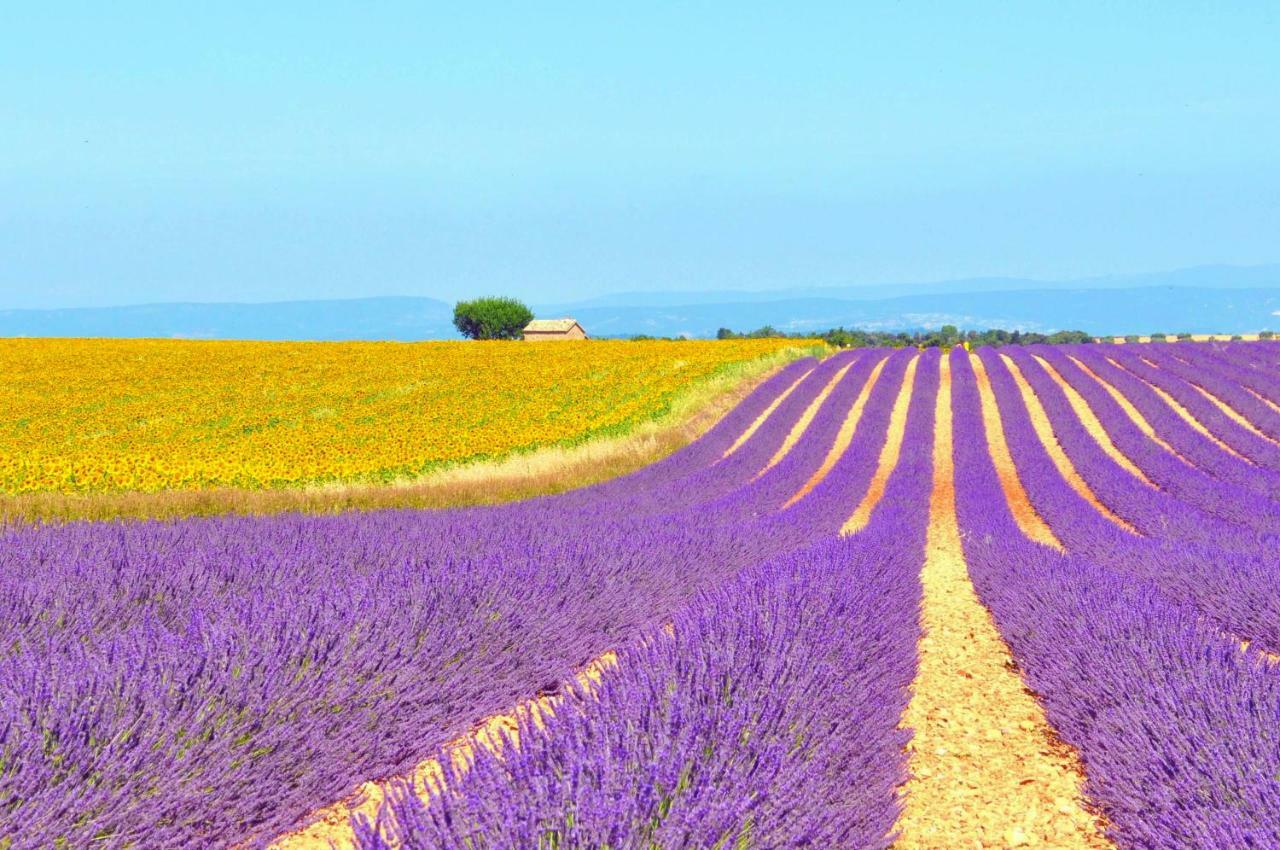 Ferme St Roch Villa Robion en Luberon Dış mekan fotoğraf